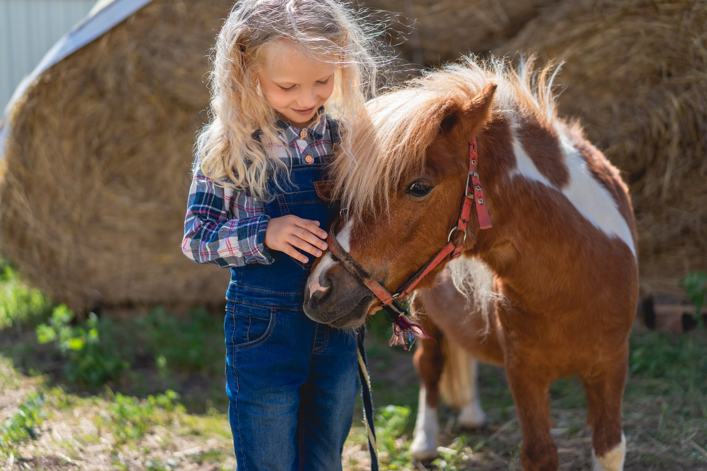 happy kid palming cute pony at farm