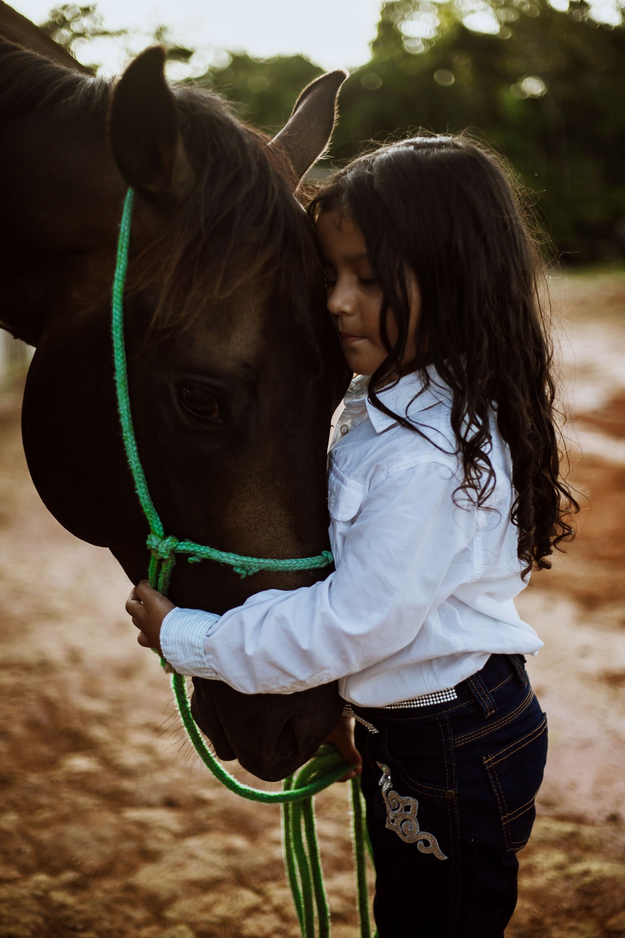 Girl Hugging Horse